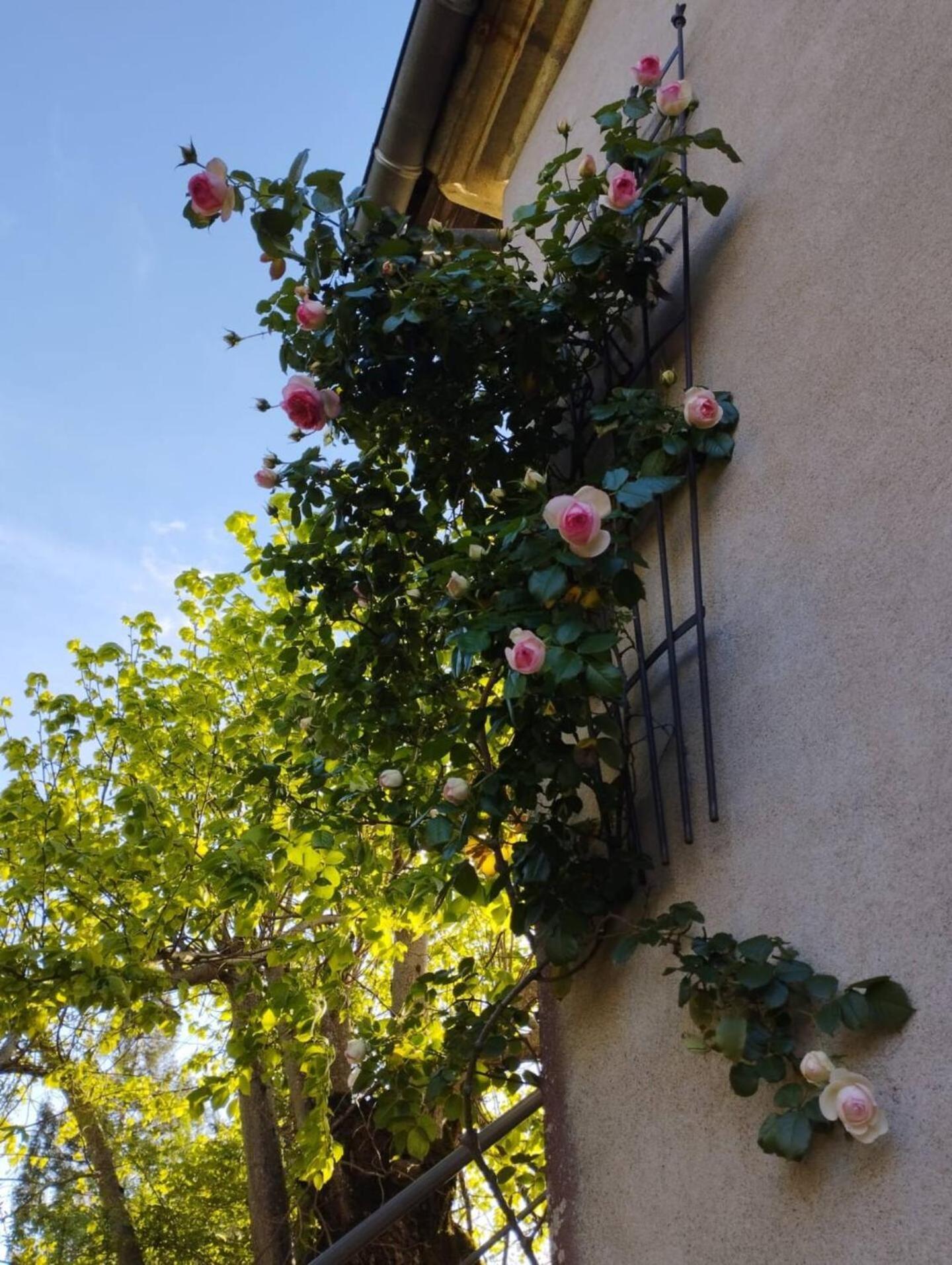 Appartement Cosy A Cadillac Exterior photo